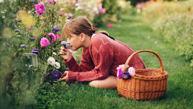 GIARDINO, RAGAZZA, FIORI