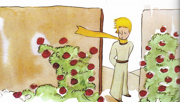 LE PETIT PRINCE