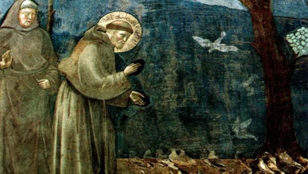 SAN FRANCESCO ASSISI