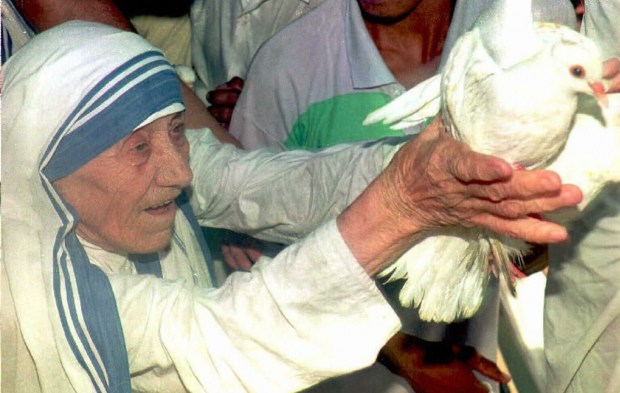 MADRE TERESA LANCIA COLOMBA