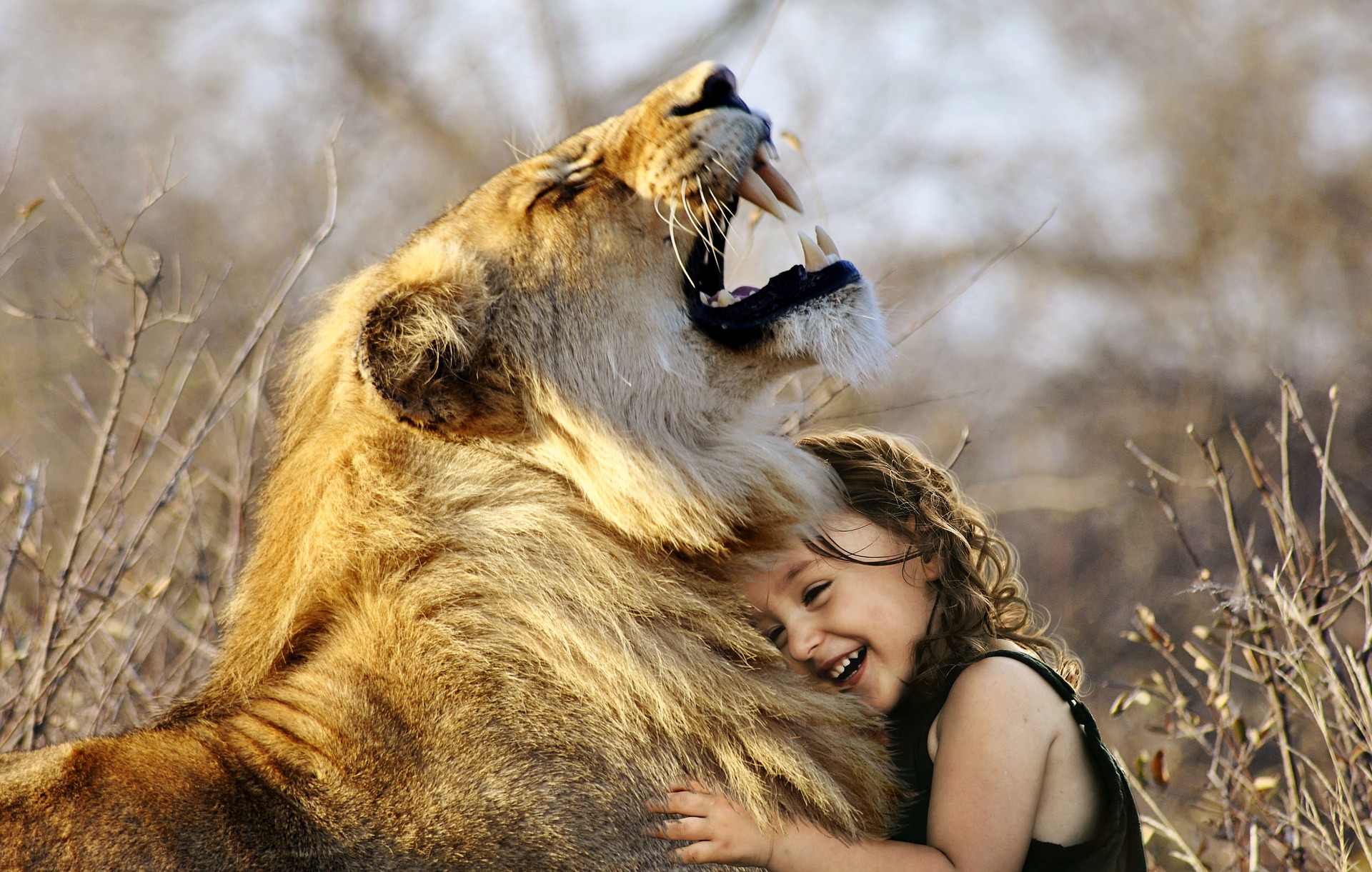 LION HUG BABYGIRL