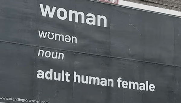 BILLBOARD WOMAN