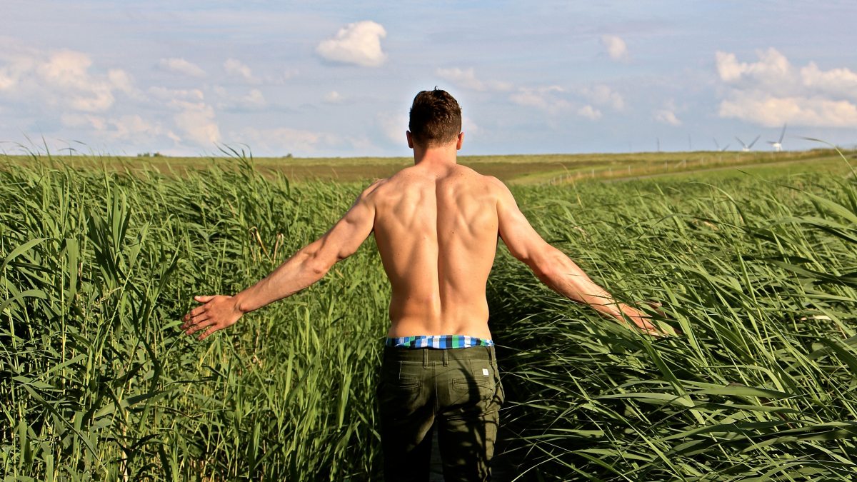 agriculture-back-view-clouds-269192