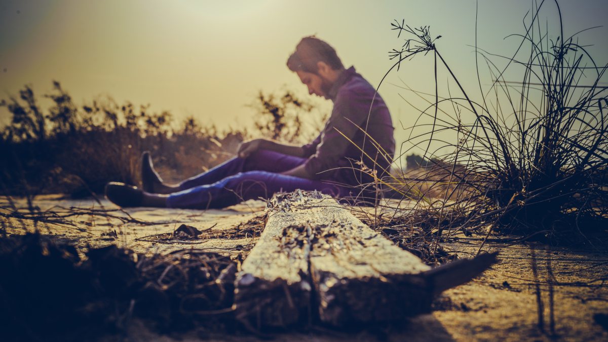 alone-dawn-depth-of-field-734479
