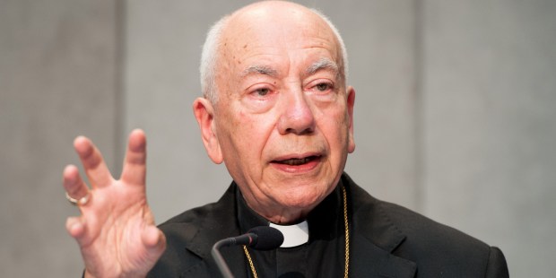 CARDINAL COCCOPALMERIO