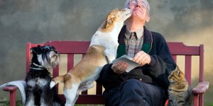 Cane cacciato dal funerale a Torino: don Palumbo ha sbagliato, capiamo bene perché
