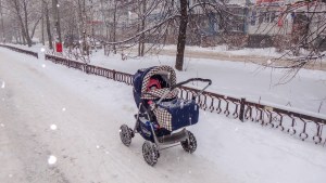 NEWBORN IN THE FROST