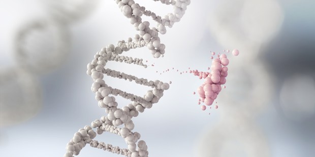 DNA