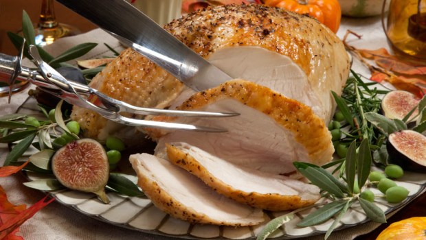 THANKSGIVING TURKEY