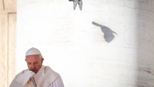 POPE FRANCIS AUDIENCE