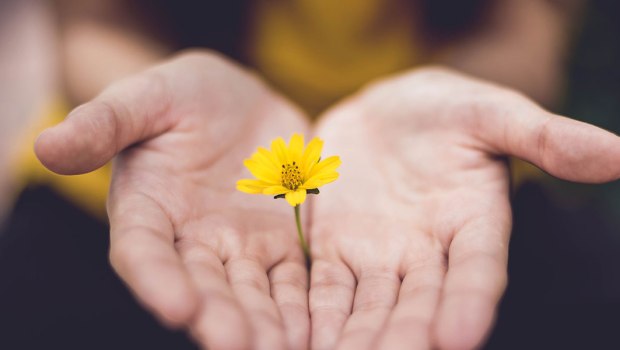 FLOWER