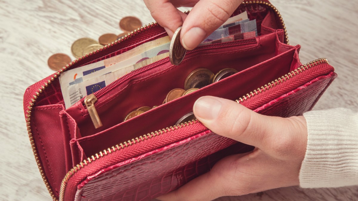COINS-EUROS-WALLET