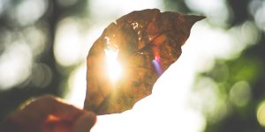 Al fondo di ogni buio Dio ha nascosto una luce