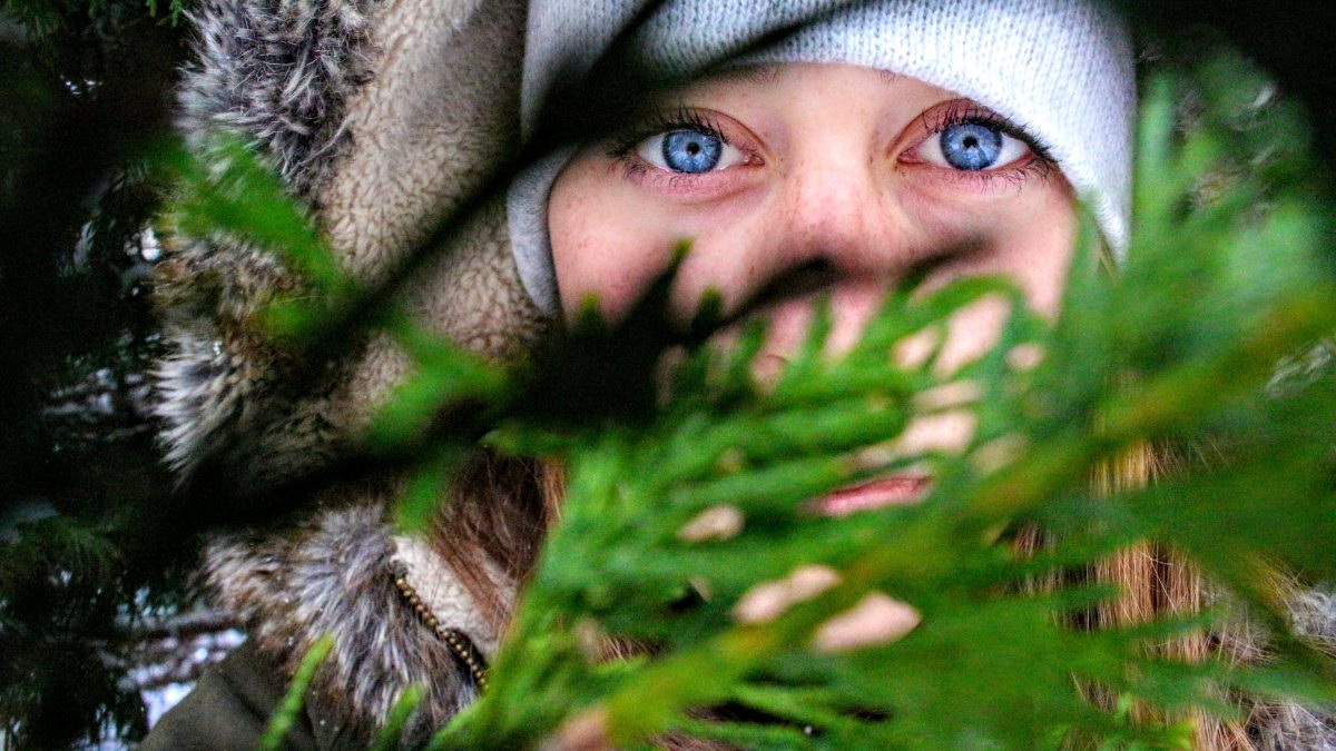 beanie-beautiful-blue-eyes-776605