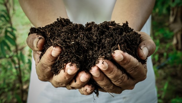 COMPOST