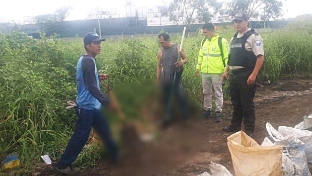 ECUADOR