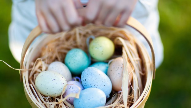 EASTER, EGGS, NEST