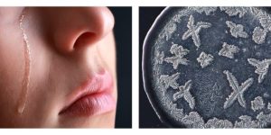Ogni lacrima è unica: la scoperta stupefacente che dal microscopio arriva all&#8217;anima