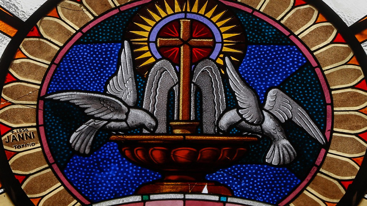 doves