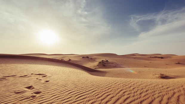 Deserto vita