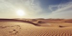 Deserto vita