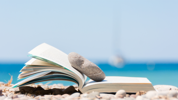 reading summer vacation book