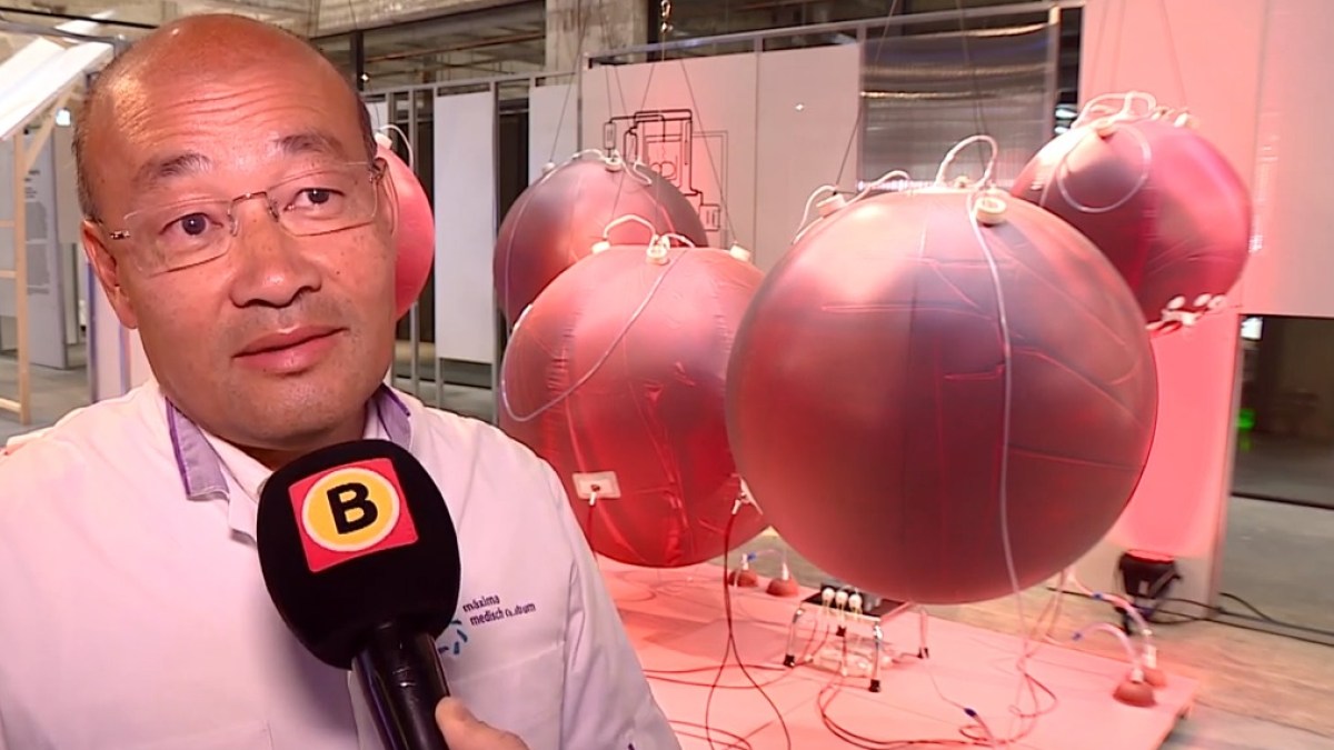 ARTIFICIAL, WOMB, DUTCH