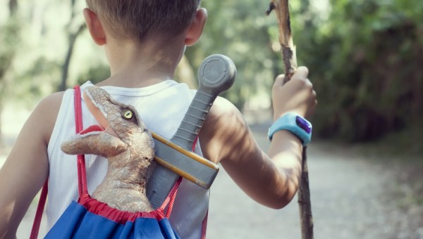 CHILD, WOOD, ADVENTURE