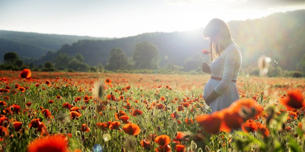 PREGNANT, FIELD, POPPIES