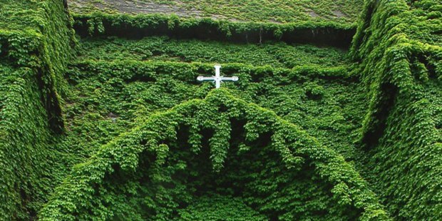 PASTORAL VERDE