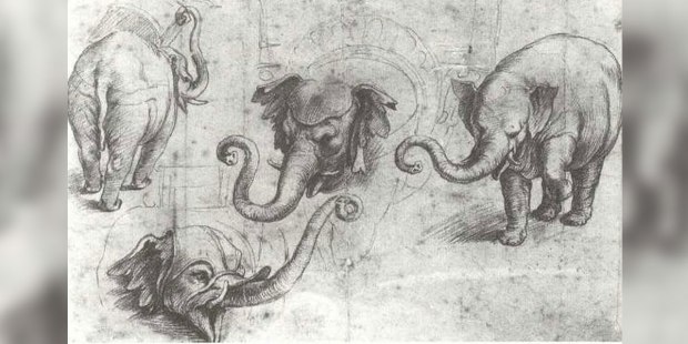 ELEPHANT