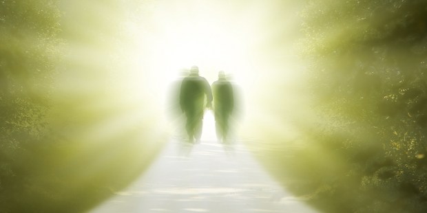 AFTERLIFE