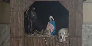 Il Presepe? Un rifugio sicuro contro l&#8217;asprezza del mondo. Anche per un cane.