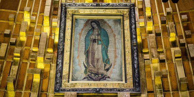 Iniziamo Insieme La Novena Alla Madonna Di Guadalupe