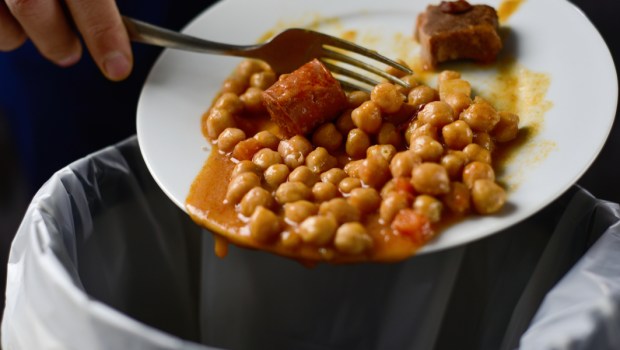 WASTE FOOD