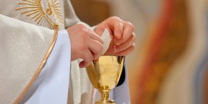 Perché il sacerdote immerge un pezzo di ostia nel calice?