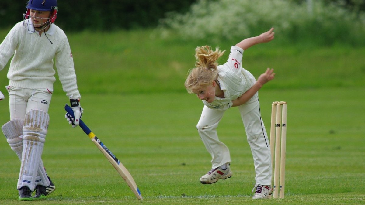 Cricket