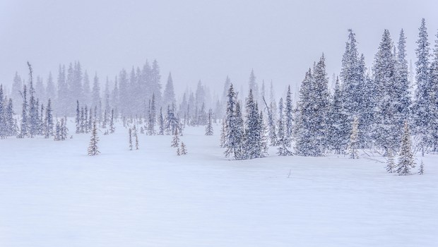 SNOW