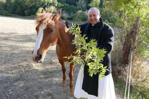 MICHAŁ ZIOŁO OCSO