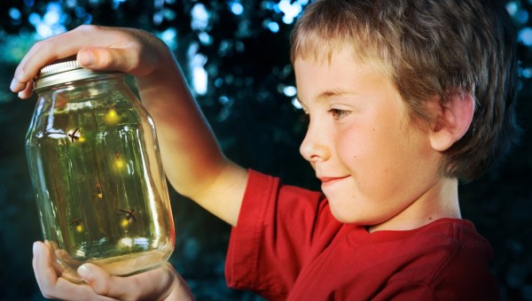 CHILD, JAR, FIREFLIES
