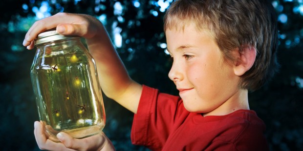 CHILD, JAR, FIREFLIES