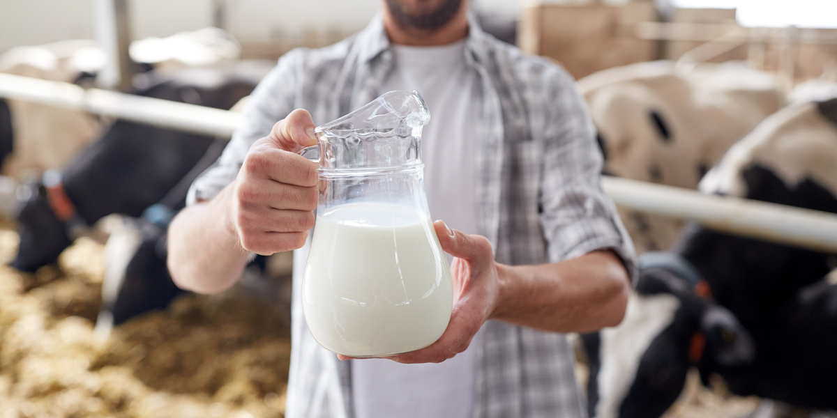 FARMER, MILK, COWS