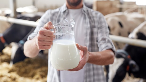 FARMER, MILK, COWS
