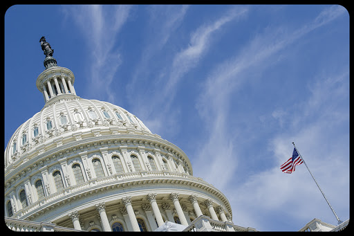 Washington DC, US Capitol Building dome © M DOGAN / Shutterstock