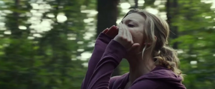 HERO–The Forest-Focus Features-