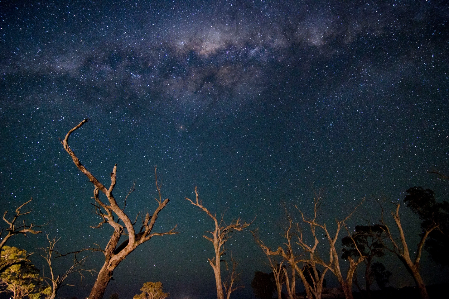 WEB-SKY-NIGHT-STARS-STARRY-Indigo Skies Photography-cc