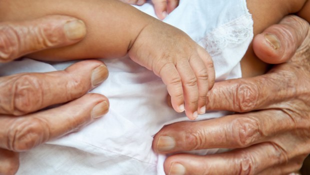 OLD HANDS