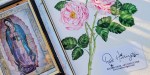 roseharringtonart