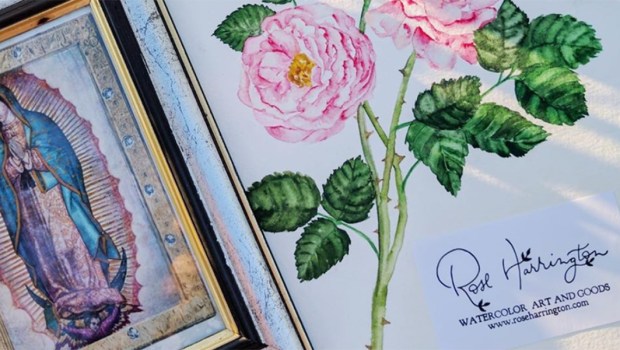 roseharringtonart