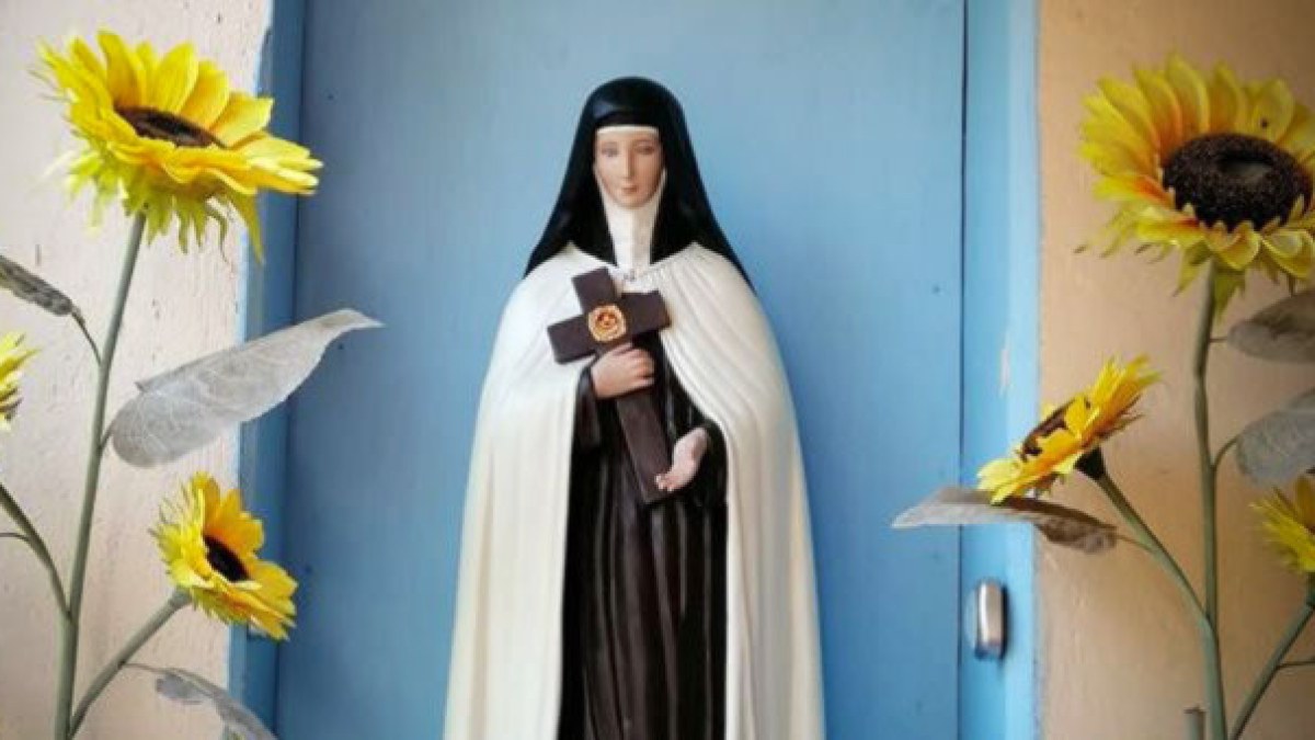 TERESA DE LOS ANDES